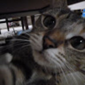 Meet your Posher, Kaili